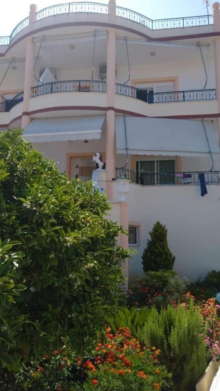 Apartments Rudi Orikum Extérieur photo